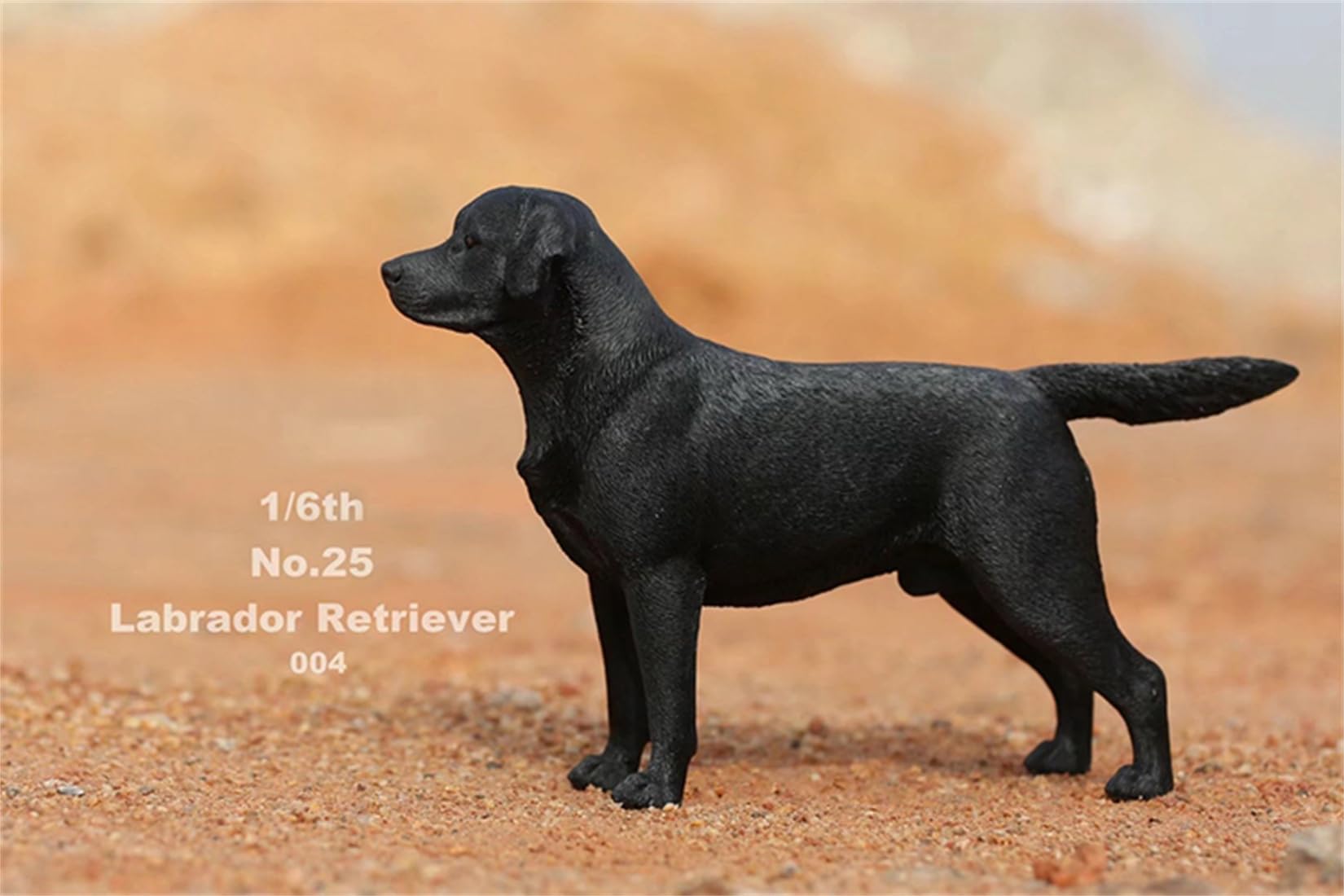 Amazon.co.jp: 1/6 サイズ ラブラドール・レトリバー 可愛い 犬 動物