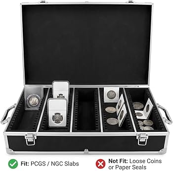 Amazon.co.jp: QWORK コイン収納ボックス 100グレード コインスラブ