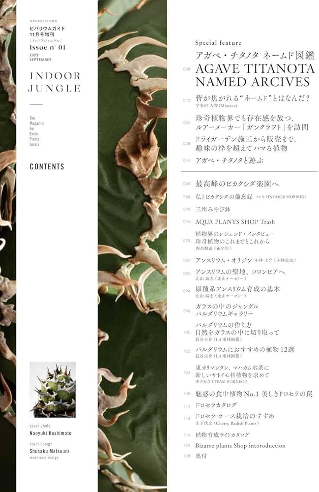 INDOOR JUNGLE（インドアジャングル） No.01 | INDOOR JUNGLE 編集部
