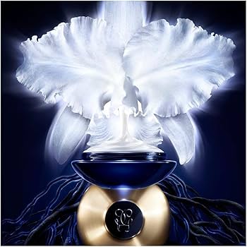 Amazon.com: Guerlain Orchidee Imperiale La Crème Legere