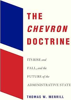 61wosd5is9L._AC_UF350,