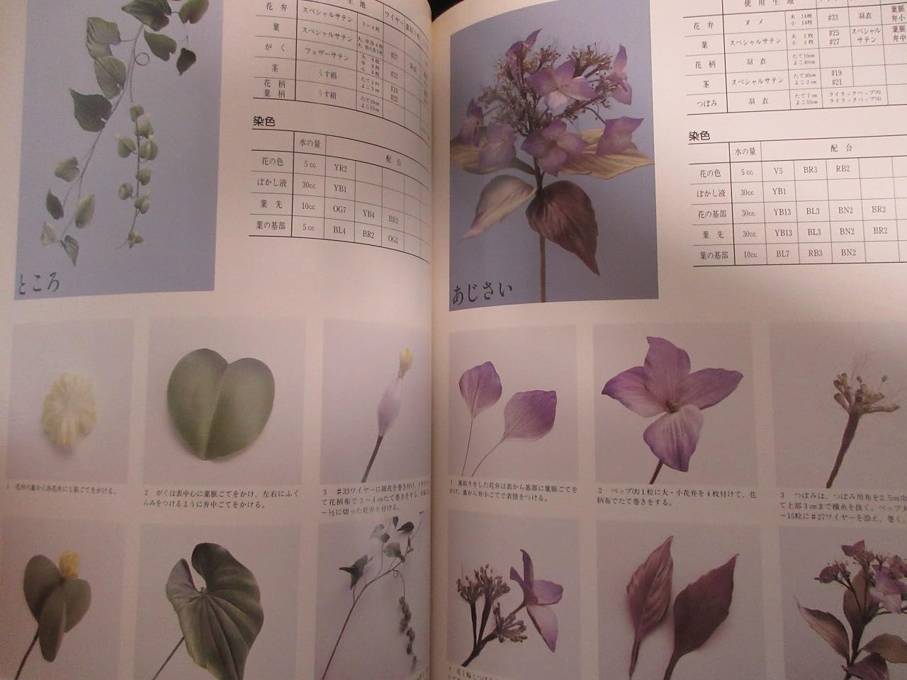 Amazon.co.jp: 安田 早葉子: 本、バイオグラフィー、最新アップデート