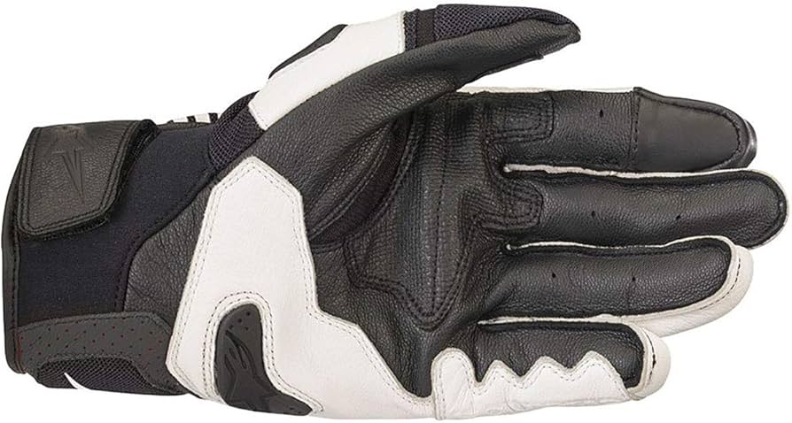 Amazon | [アルパインスターズ] バイクグローブ ブラック/ホワイト