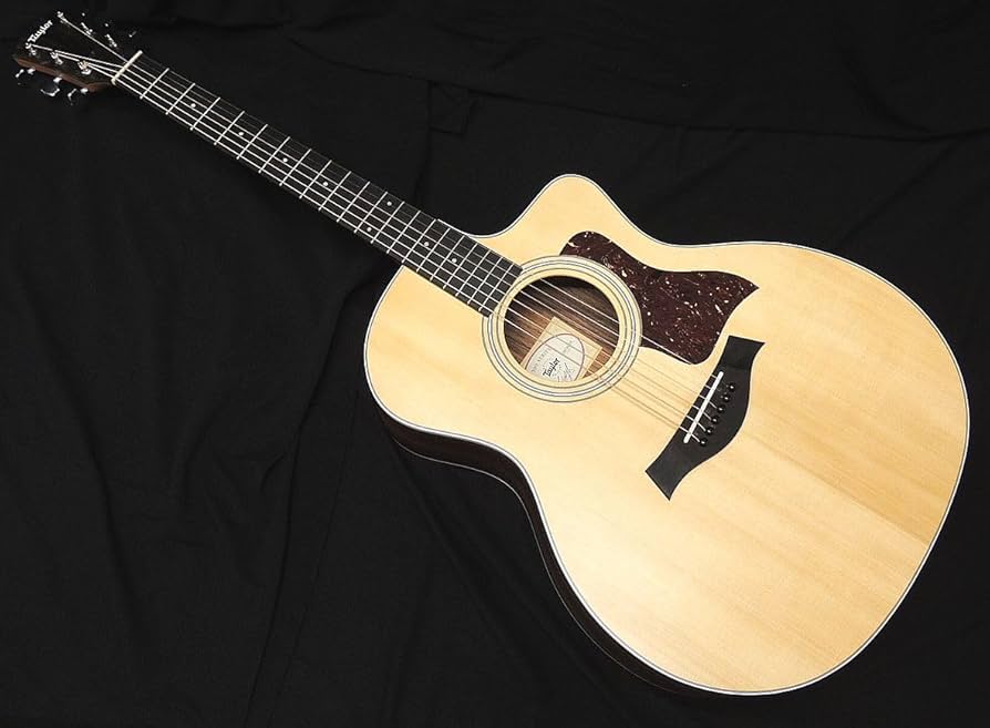 Amazon | Taylor 214CE RW Rosewood ローズウッド テイラー エレアコ