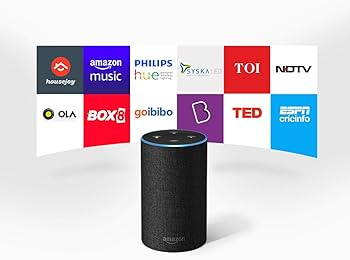 Echo Sub Combo with 2 Amazon Echo Devices - Black : Amazon.in