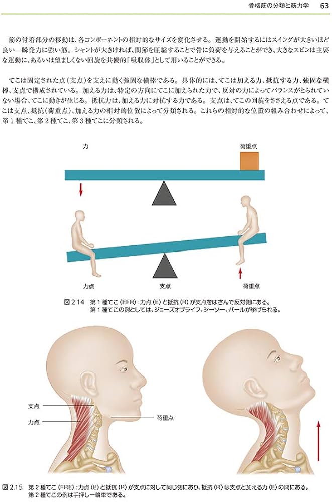 神経筋療法 トリガーポイントマニュアル (GAIA BOOKS) | ジョン