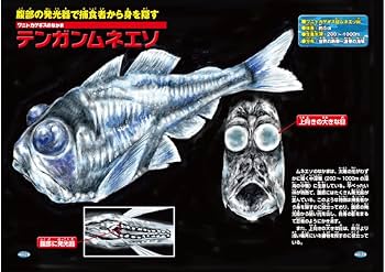 図解大事典 深海生物 : Amazon.sg: Books