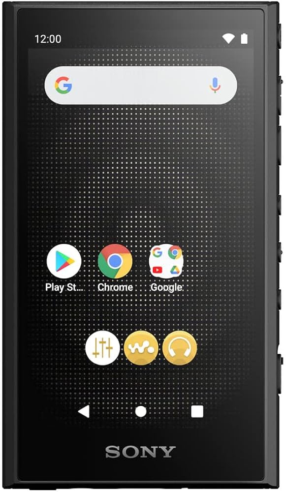 Amazon.com: Sony NW-A306 Walkman 32GB Hi-Res Portable Digital