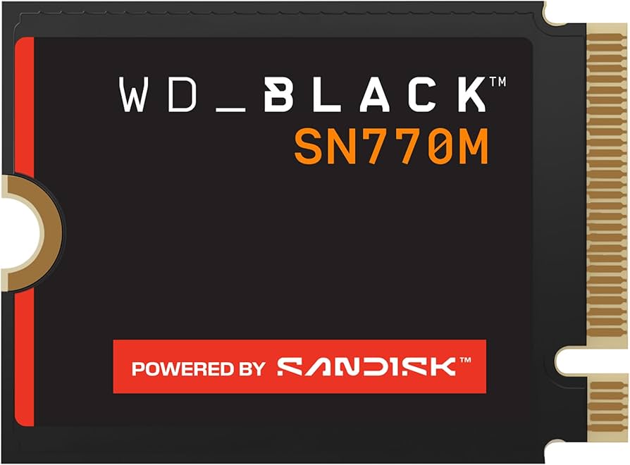 Amazon.com: WD Black SN770M WDS100T3X0G 1 TB Solid State Drive - M