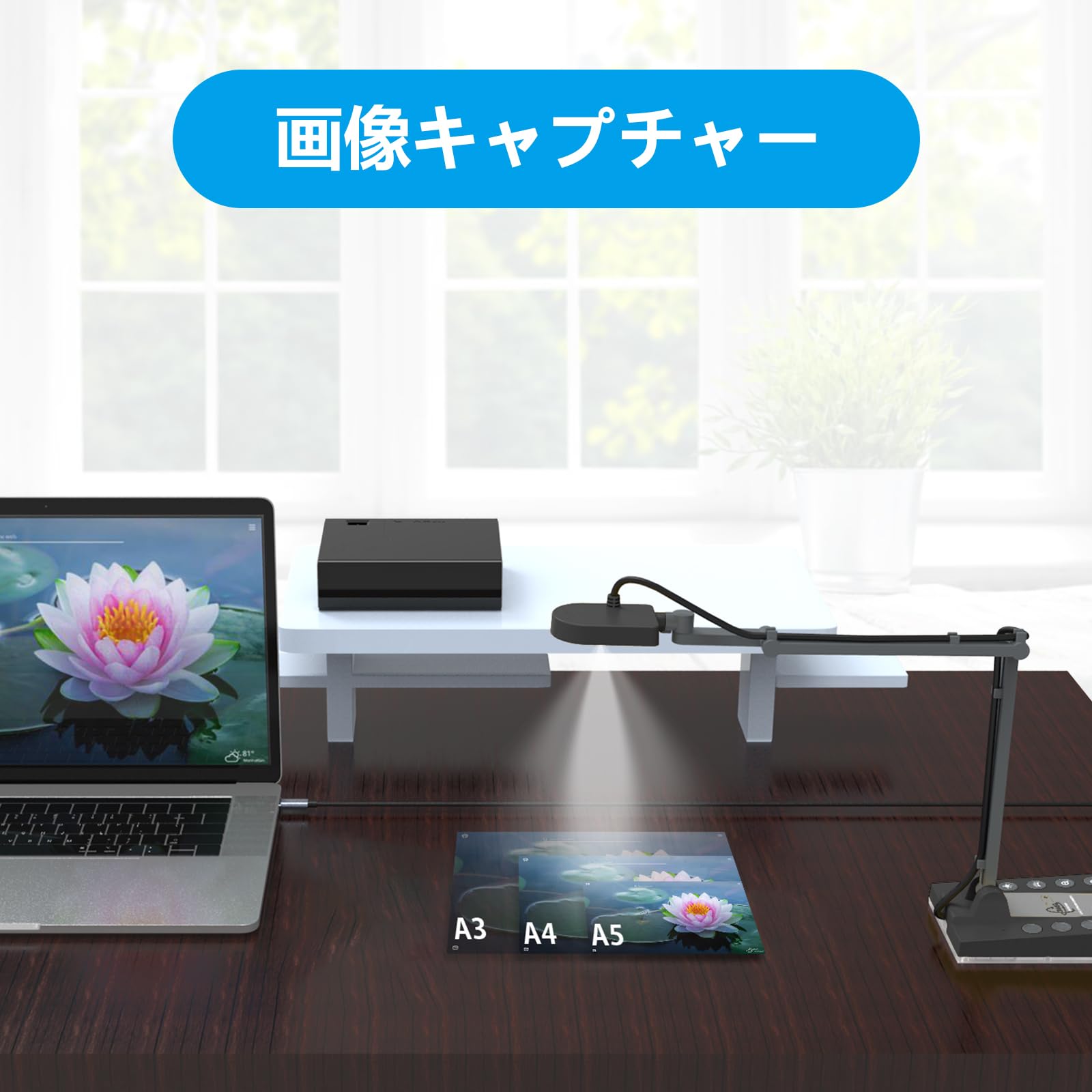 Amazon.co.jp: Basicolor書画カメラ 1500万画素 4Kダイナミック解像度