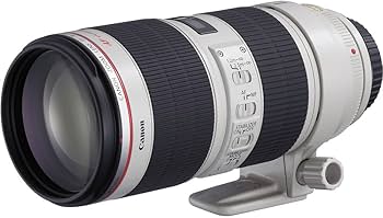 Amazon.co.jp: Canon 望遠ズームレンズ EF70-200mm F2.8L IS II USM