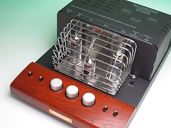 Amazon.co.jp: SOUNDWARRIOR 真空管プリメインアンプ SW-T20／城下工業