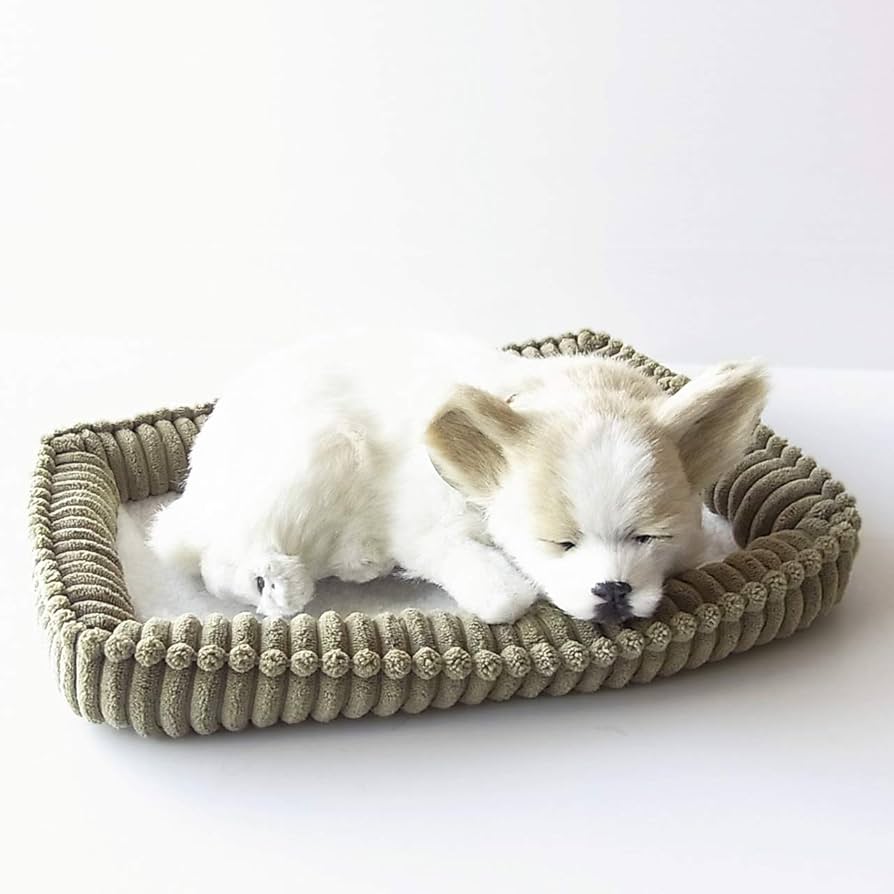 5.9わっさー犬型ぬいぐるみ 5.9わっさー犬型ぬいぐるみ Amazon.co.jp