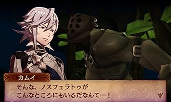 Amazon.com: New Nintendo 3ds Only Fire Emblem If Special Edition