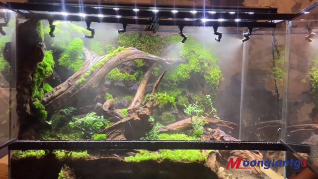 Amazon | Moongiantgo 爬虫類加湿器 ミストシステムセット 止水弁付 液