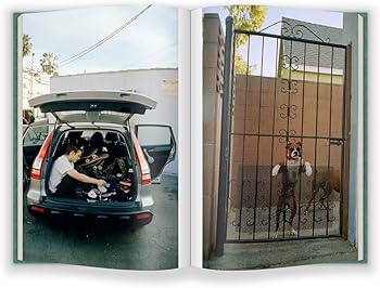 Party in the Back: Razo, Tino, Stranger, Julien: 9781944860035