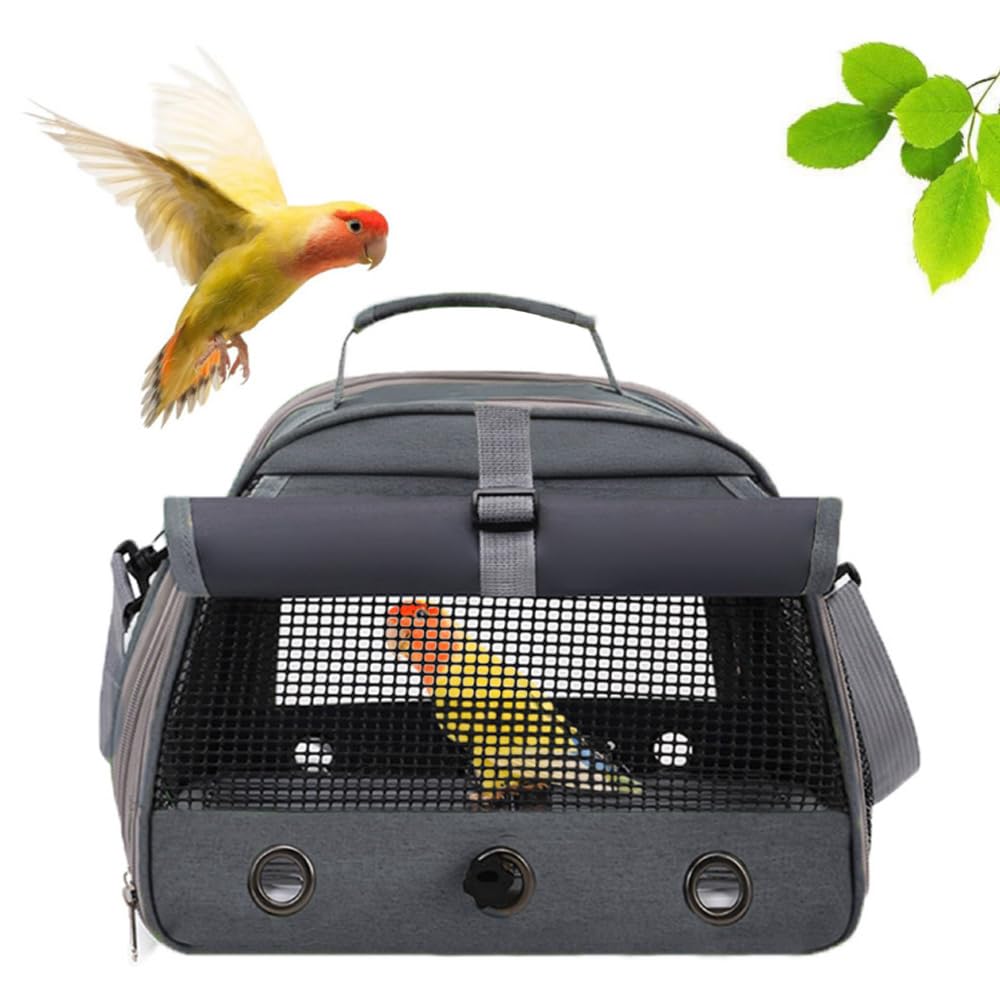 Amazon | IYOIYA 鳥 キャリーバッグ とまり木つき インコ キャリー