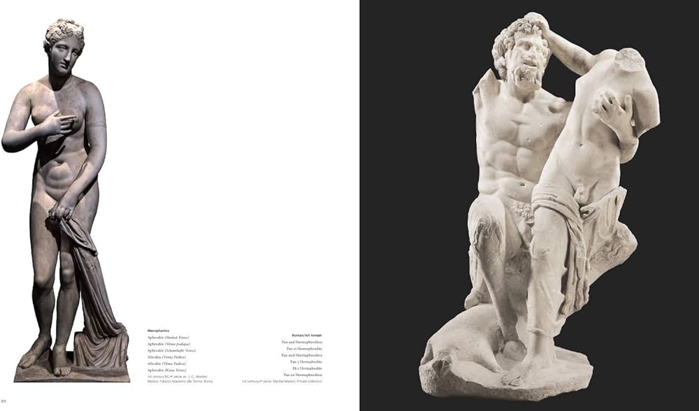 Amazon.co.jp: Ars Erotica : 本