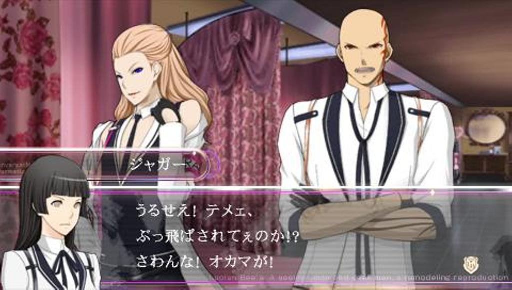 Amazon | LucianBee's EVIL VIOLET - PSP | ゲームソフト