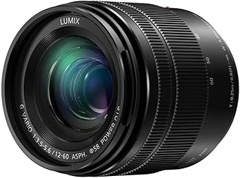 Amazon.com : PANASONIC LUMIX G VARIO LENS, 12-60MM, F3.5-5.6 ASPH