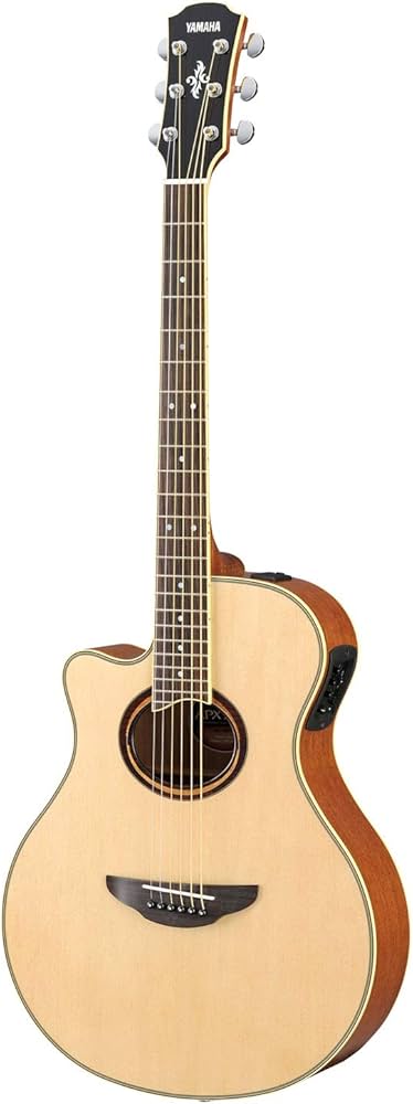 Amazon | Yamaha ヤマハ APX700IIL Thinline Cutaway レフトハンド