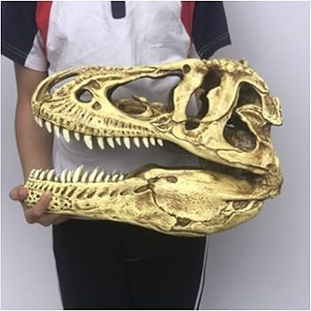 木彫 恐竜 ユウティラヌス 頭骨模型 11cm 木彫 恐竜 ユウティラヌス