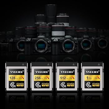 Amazon.com: 128GB CFexpress Type B Memory Card,Raw 4K Video
