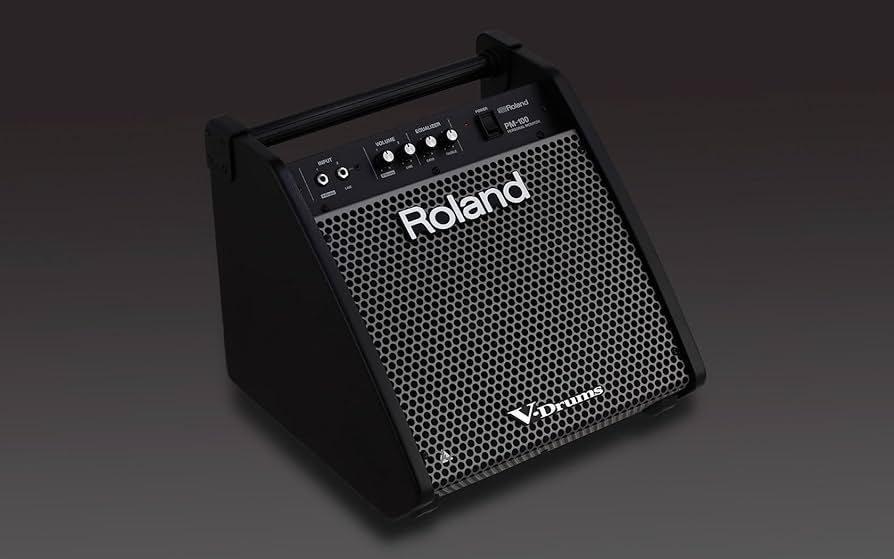 Amazon.com: Roland PM-100 Compact 80-Watt Personal Drum Monitor