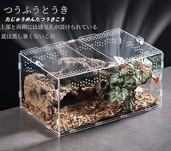 Amazon | haoyunjianjiak 爬虫類飼育箱 レプタイルボックス換気