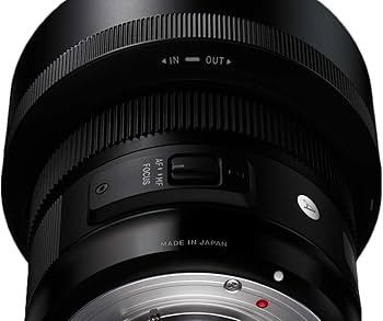 Amazon.com : Sigma 30mm F1.4 Art DC HSM Lens for Canon : Digital