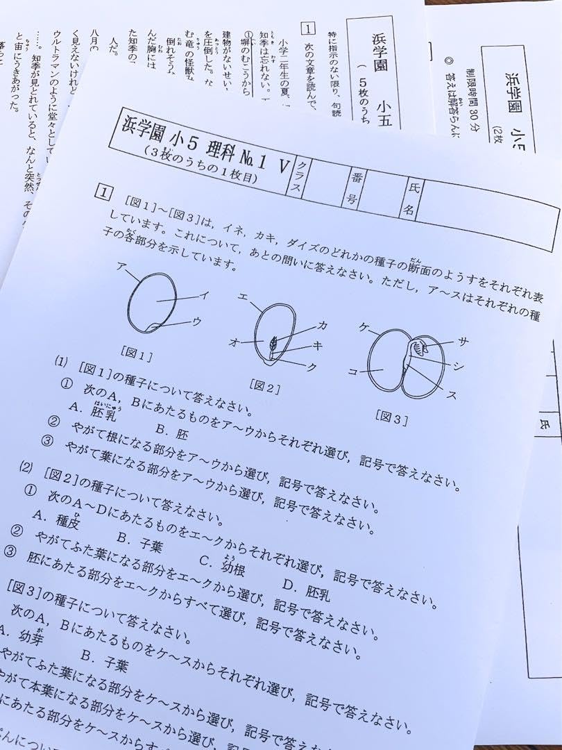 Amazon.co.jp: 浜学園 小5 2023年度 3科目 解答用紙 Vクラス 復習