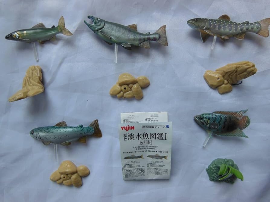 Amazon.co.jp: 原色淡水魚図鑑 7種類 Ⅰ改訂版 5種 ＋ 原色淡水魚