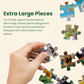 61PsxROZTML._AC_UF350,