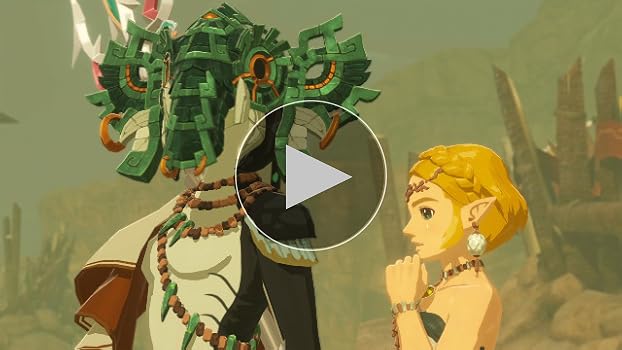 Amazon.co.jp: ゼルダ無双 封印戦記 TREASURE BOX グッズのみ(ゲーム