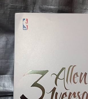 Amazon.co.jp: 1/6 ENTERBAY アレン・アイバーソン アクション