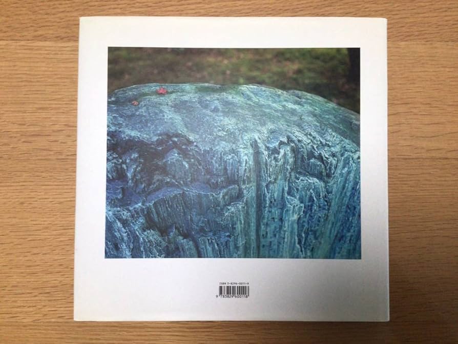 Amazon.co.jp: 写真集 ヴィム ヴェンダース PICTURES FROM THE SURFACE