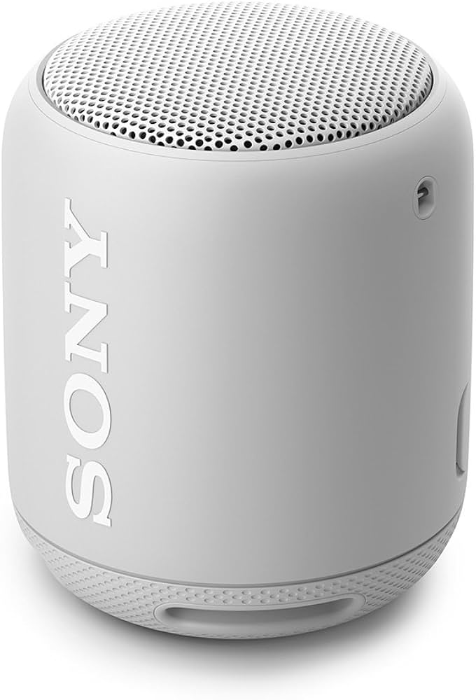 Amazon.co.jp: ソニー ワイヤレスポータブルスピーカー 重低音モデル