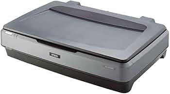 61RSbUpWnnL._AC_UF350,