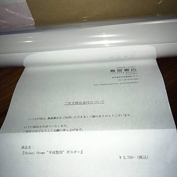 Amazon.co.jp: 正規品 平成聖母 Heisei Mary A2ポスター 大友昇平