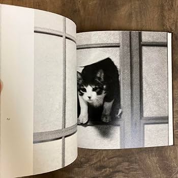 深瀬昌久 afterwordサスケ写真集 猫 2016年 初版限定900部 Amazon.co