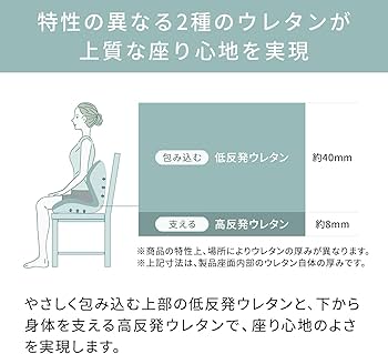 Amazon.co.jp: スタイル プレミアム シリーズ/Style PREMIUM Series