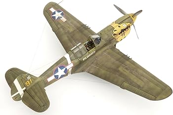 Amazon | エデュアルド 1/48 デュアルコンボ ロイヤルクラス P-40E