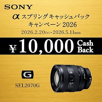Amazon | SONY(ソニー) 【レンズ と 純正プロテクター セット】 大切な