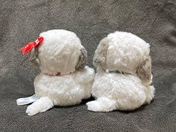 61SuhR16k3L._AC_UF350,