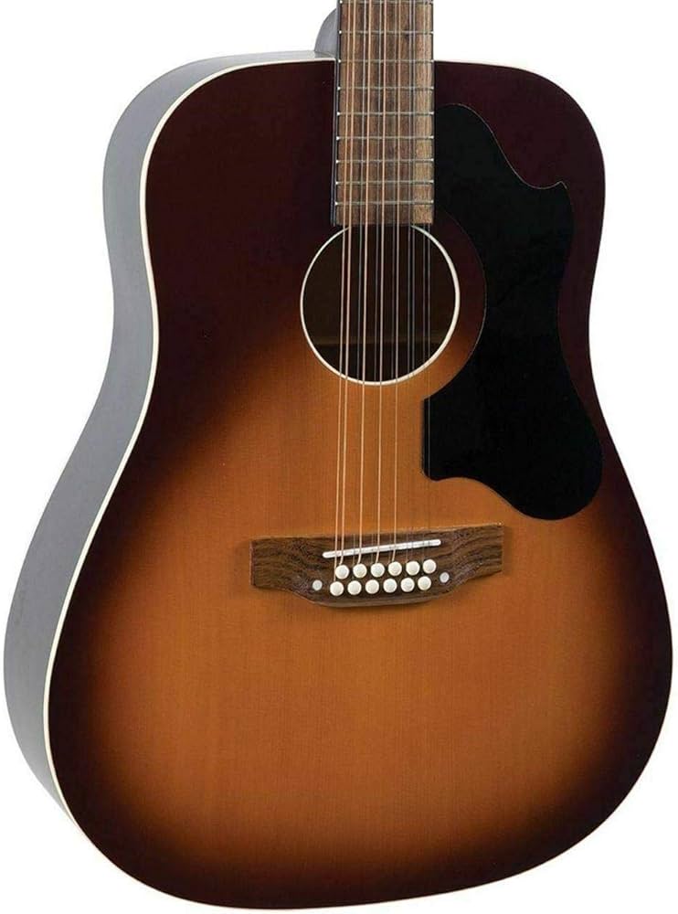 Amazon.com: Recording King 12 String Acoustic-Electric Guitar