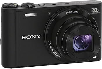 Amazon.com : Sony DSC-WX300/R 18 MP Digital Camera with 20x