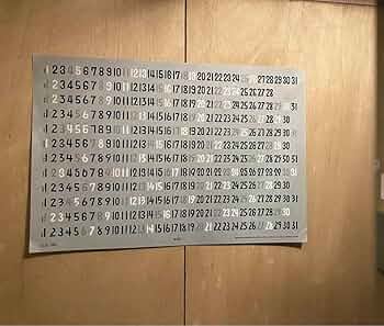 61TI4lDruJL._AC_UF350,