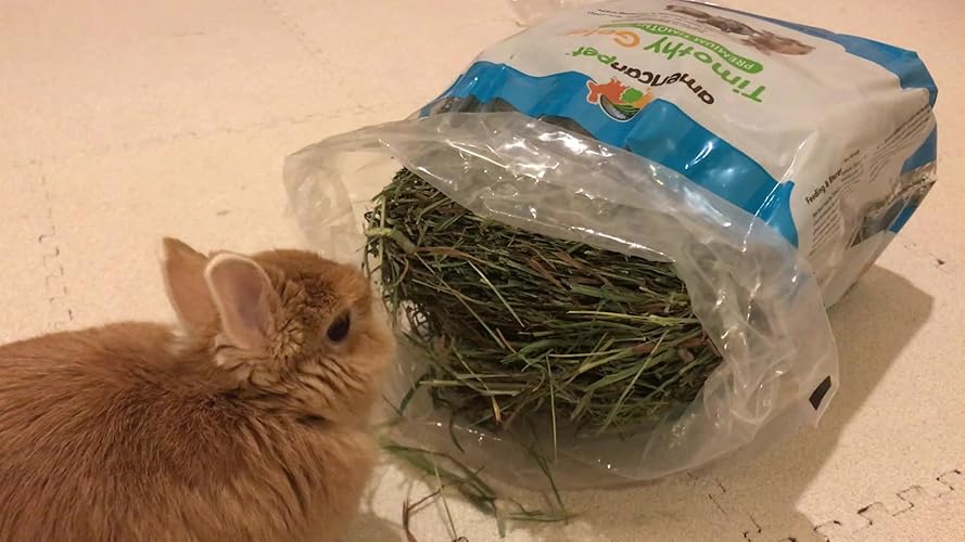 Amazon | アメリカンペットダイナー チモシーゴールド2番刈り680g 680