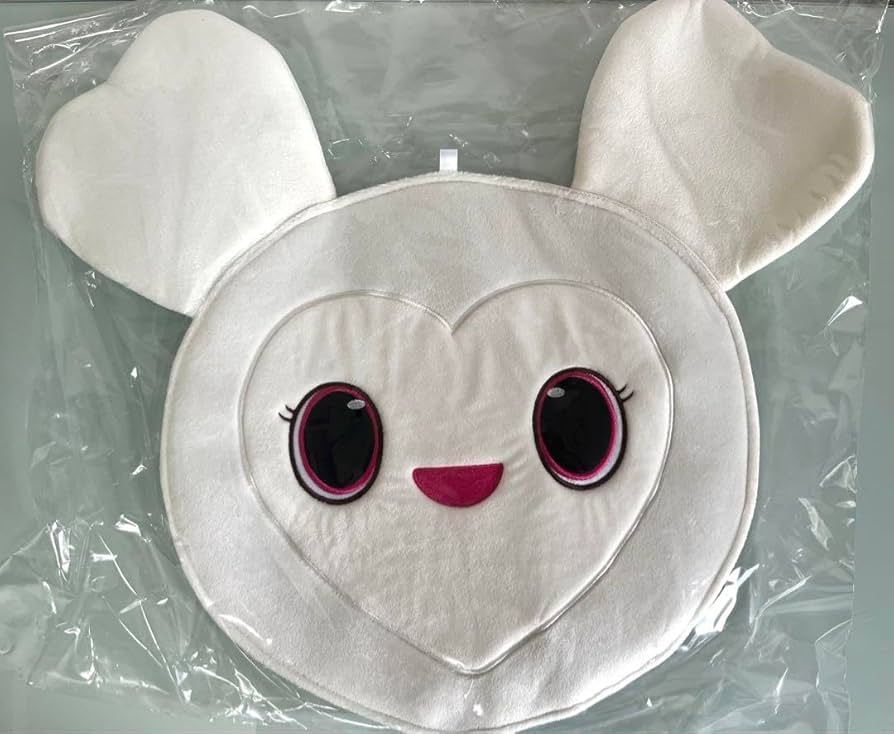 Amazon.co.jp: TWICE ライブグッズ うちわケース ダヒョン ダブリー