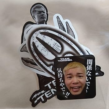 Amazon.co.jp: 可 那須川天心 ステッカー teamtenshin かんきも展